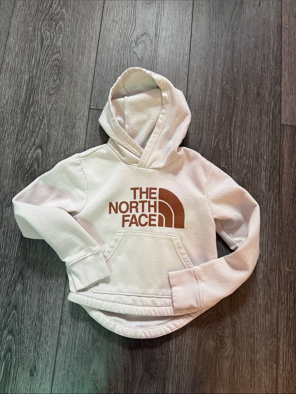 The North Face Kids Cream Hoodie with Bronze shimmer Logo